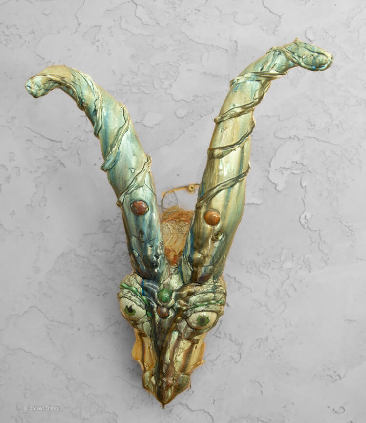 DISEMBODIED GOAT HEAD HAUNTING