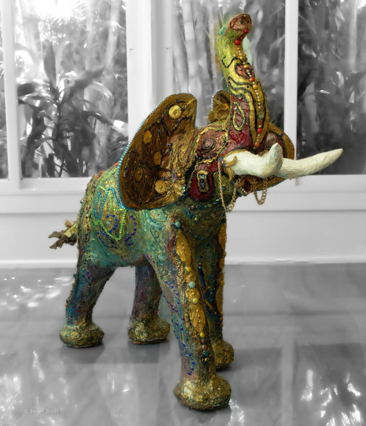 Twinkle Toes (the elephant in the room)