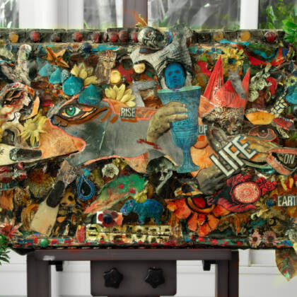 The Rise of Life on Earth