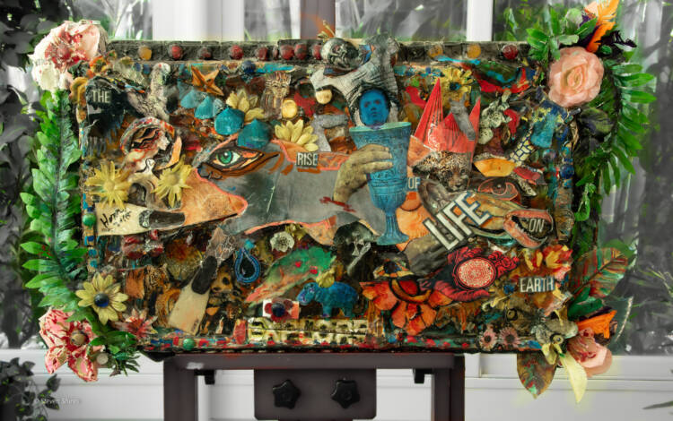 The Rise of Life on Earth