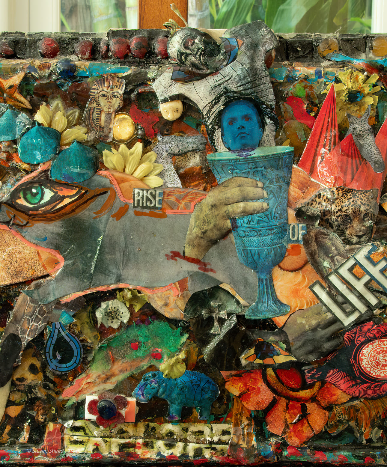 The Rise of Life on Earth - Image 3