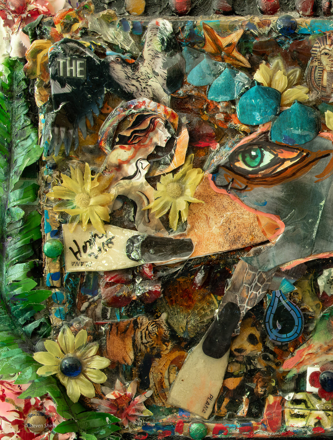 The Rise of Life on Earth - Image 2