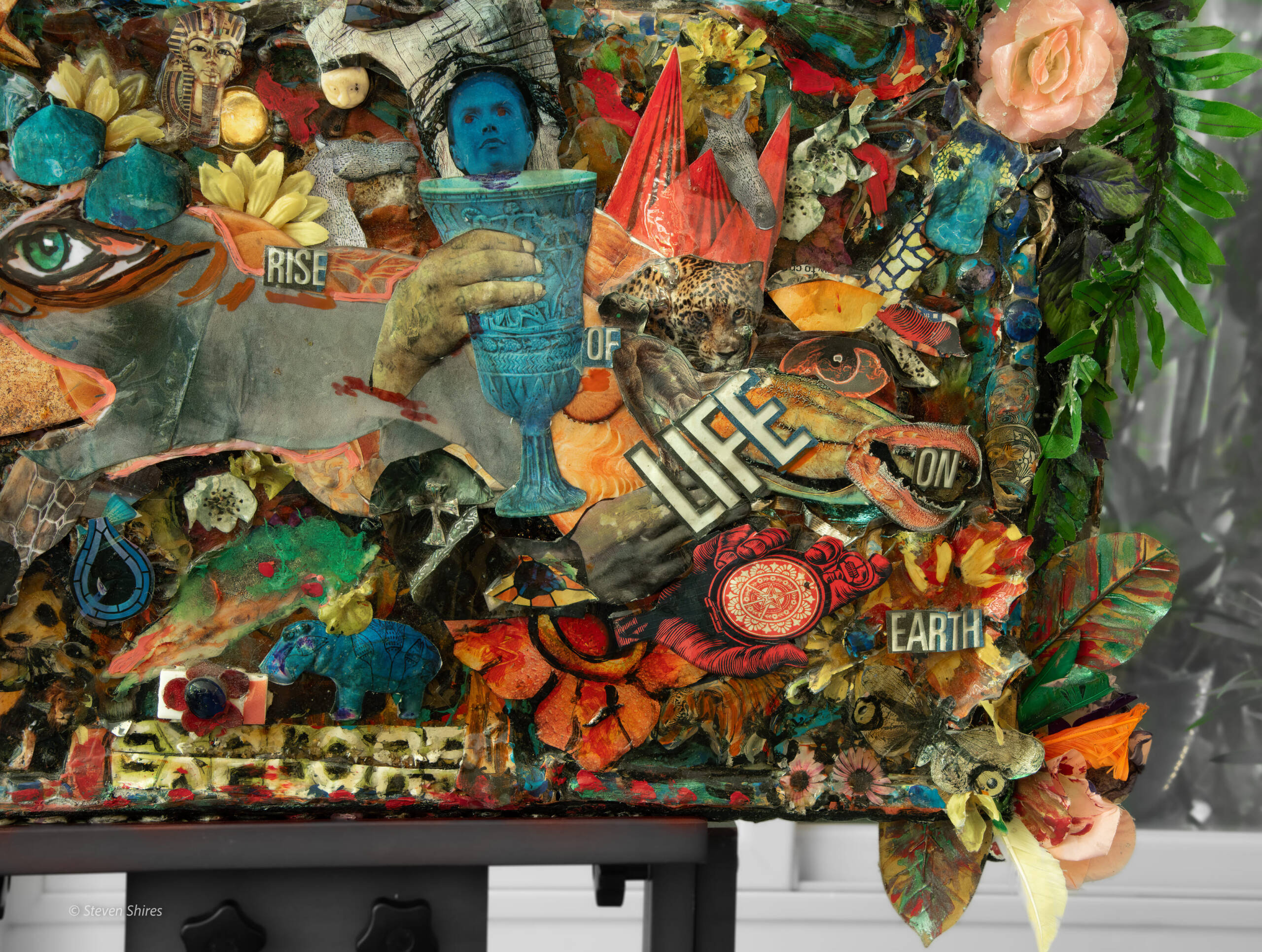 The Rise of Life on Earth - Image 4