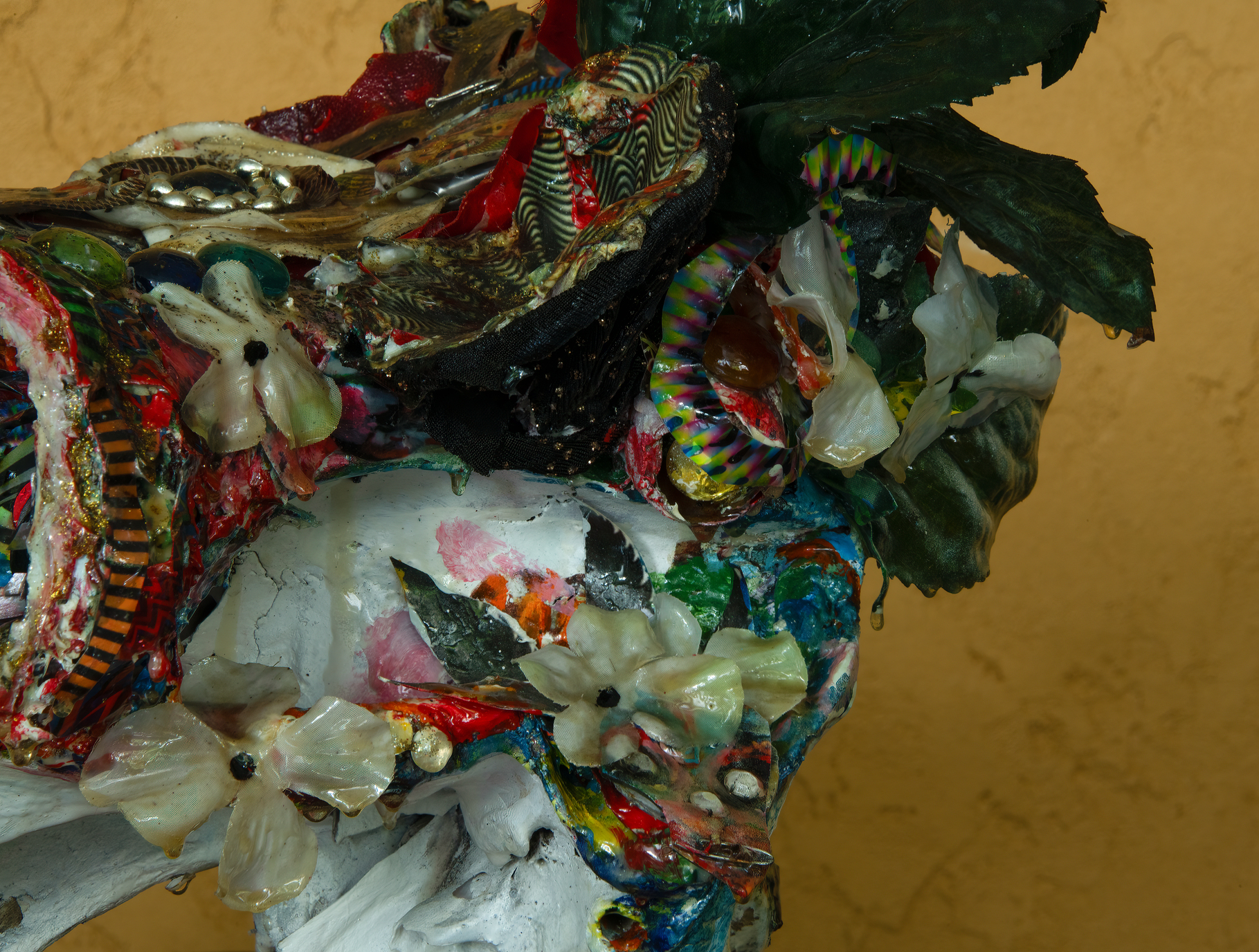 What a long strange trip it's been - Image 5