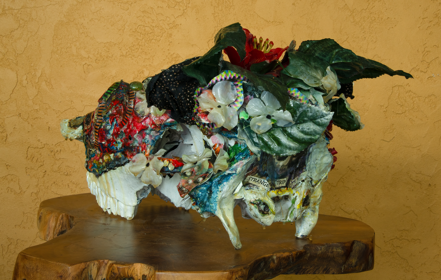 What a long strange trip it's been - Image 6