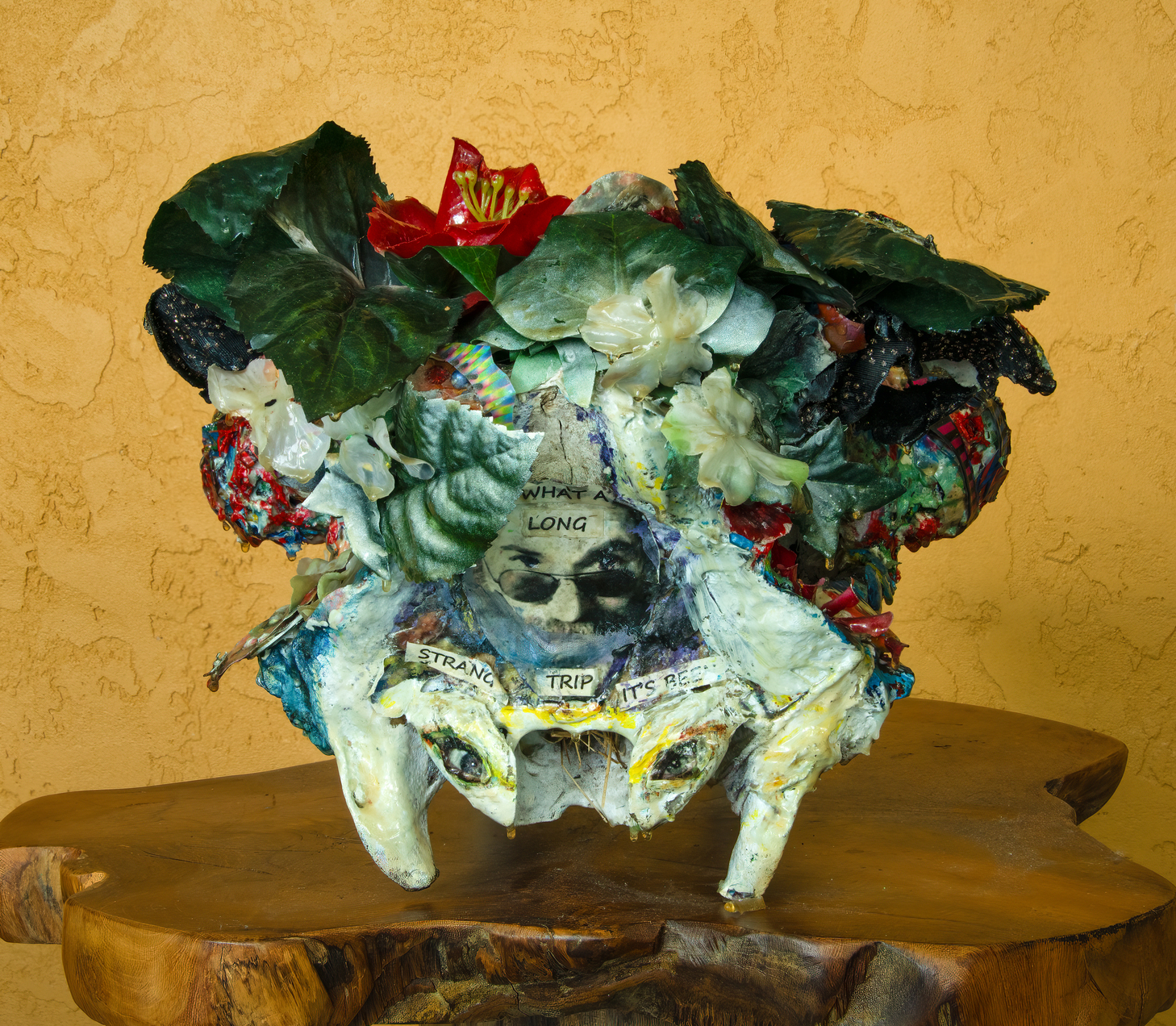 What a long strange trip it's been - Image 7