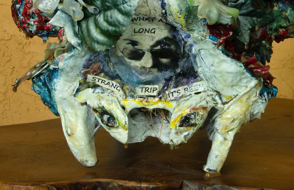 What a long strange trip it's been - Image 8