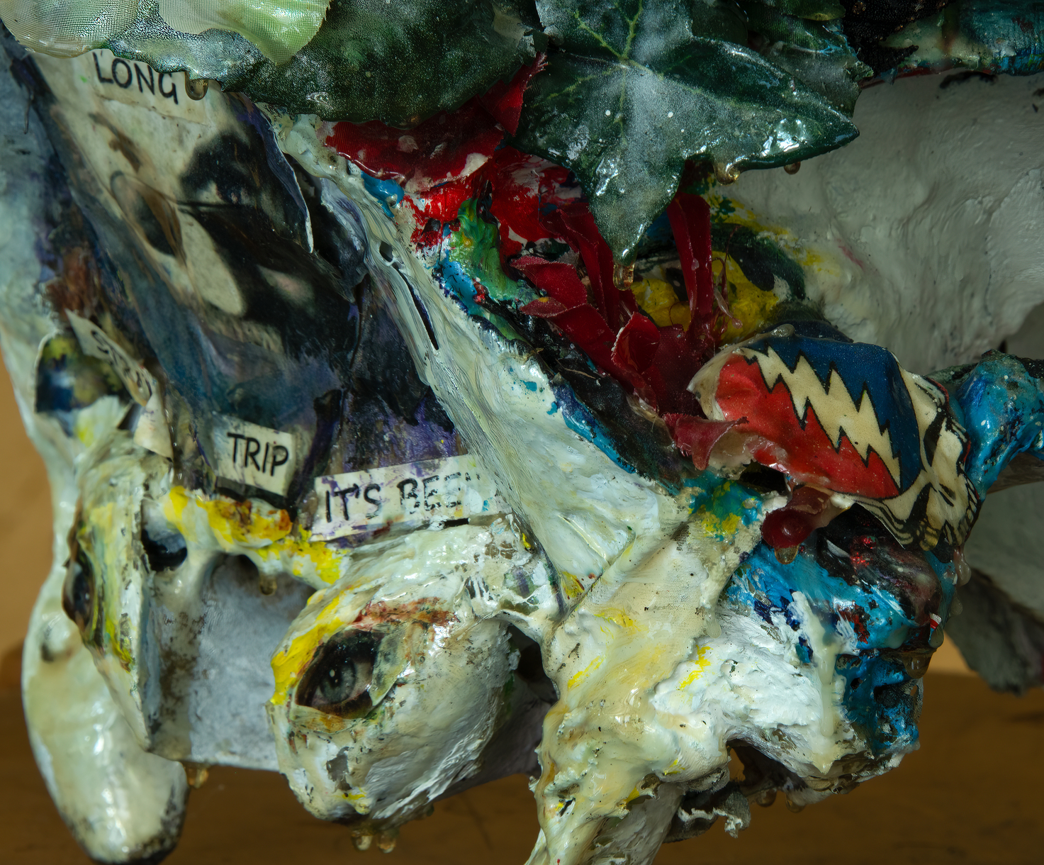 What a long strange trip it's been - Image 9